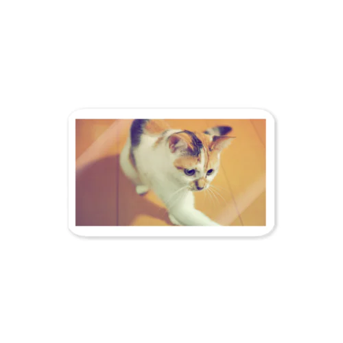 三毛猫みぃトート Sticker