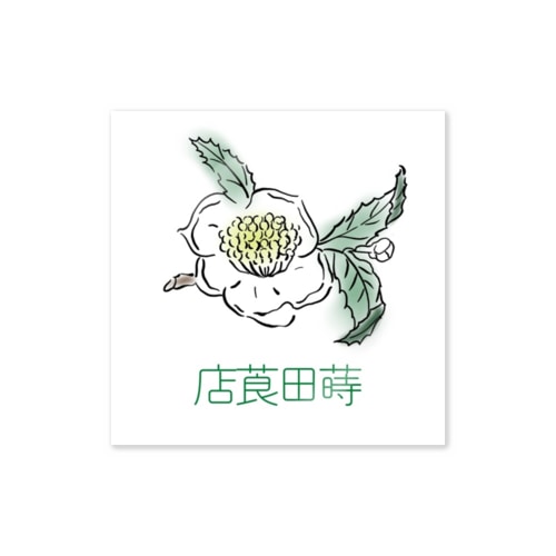蒔田莨点ステッカー（カラー） Sticker