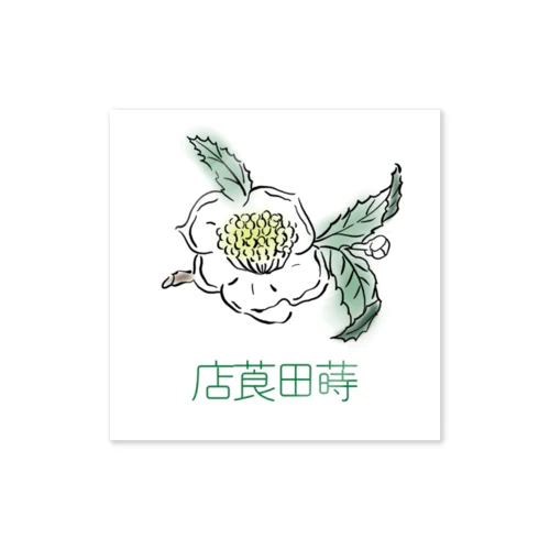 蒔田莨点ステッカー（カラー） Sticker