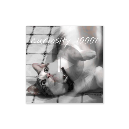 【1000％シリーズ　curiosity cat】 Sticker