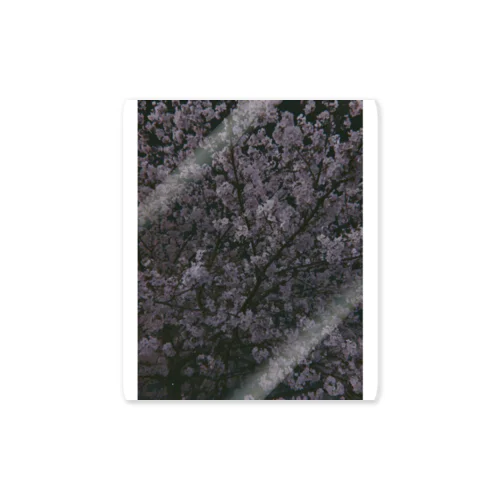 桜 Sticker