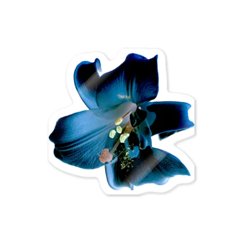 Lily (Denim Colour) Sticker