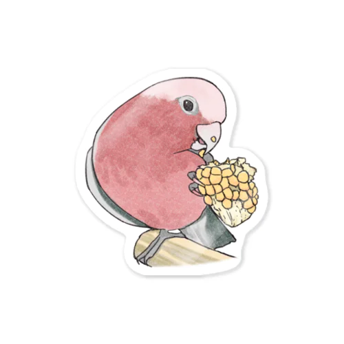 モモイロインコちゃんとトウモロコシ【まめるりはことり】 Sticker