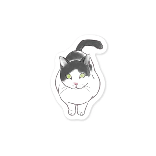 ハチワレ牛ねこシルバ（お話） Sticker