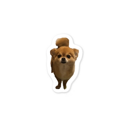 coco Sticker