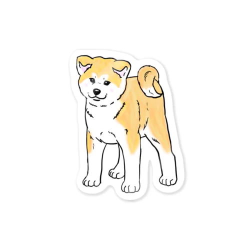 秋田犬の展覧会立ち込み練習 Sticker