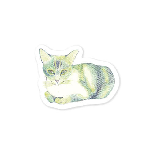 色鉛筆ねこ Sticker