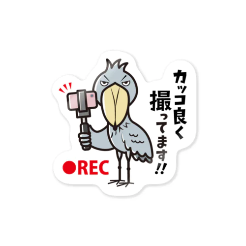 カッコ良く撮ってます!! Sticker