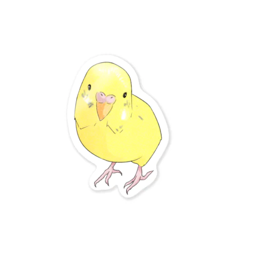 可愛いセキセイインコのパームちゃん Sticker