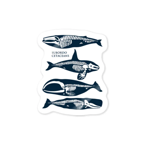 whalebone-stc Sticker