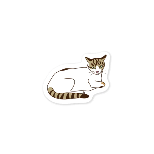 shimao C Sticker