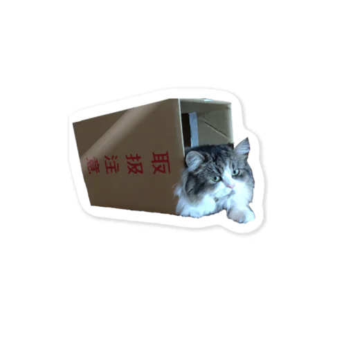 取扱注意ねこ　サイベリアン Sticker