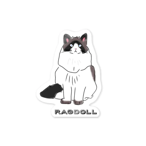 ラグドール ゴージャスな猫 Sticker