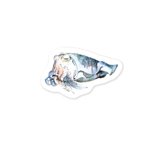 泳ぐモンゴウイカ Sticker