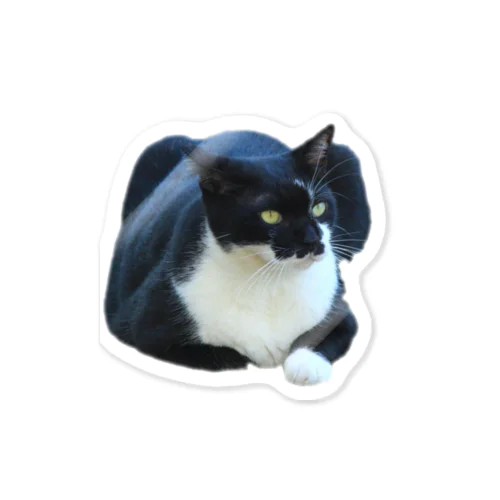 超巨大黒白猫 Sticker