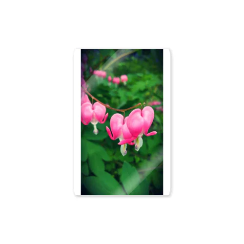 可愛いピンクのお花 Sticker