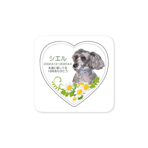 愛犬シエル１８歳 Sticker