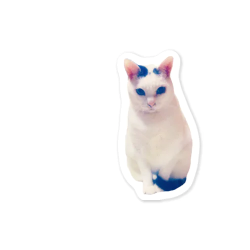 ねこのかっちゃん Sticker