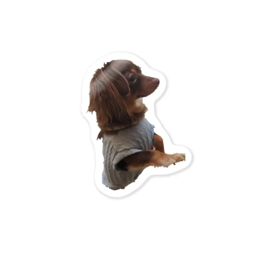 #Lovedogs (チワックス) Sticker