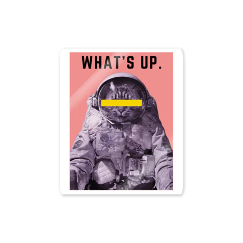 WHAT`S UP SPACE CAT Sticker