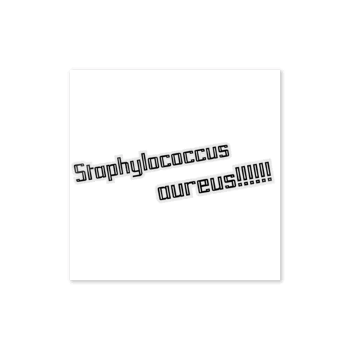 Staphylococcus aureus!!! ステッカー