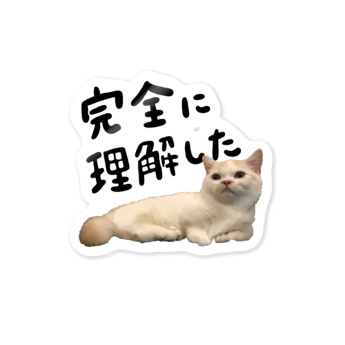 完全に理解した猫 Sticker