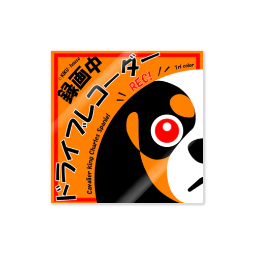 キャバリアドライブレコーダー用（日本語版）トライ Sticker