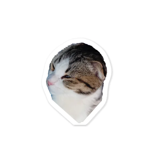 我家愛猫きのこ型 Sticker