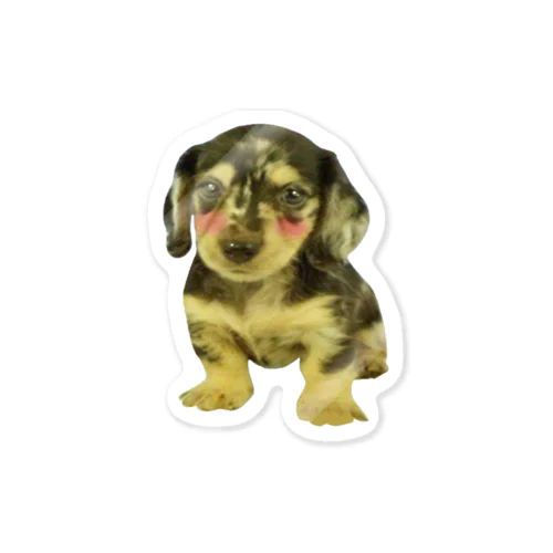 宇宙犬頬ベニあり Sticker