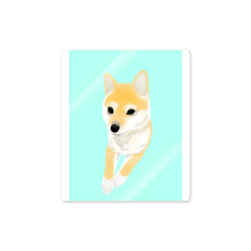 ふわふわ柴犬 Sticker