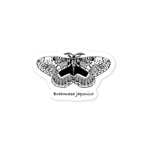 Brahmaea japonica Sticker