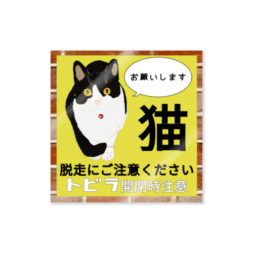 おメメくりっくり ニャンコ more ハチワレ 扉開閉注意 脱走注意 Sticker