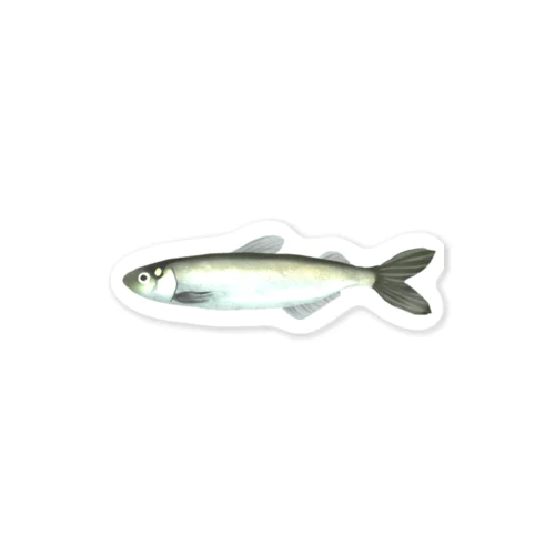 ししゃも Sticker