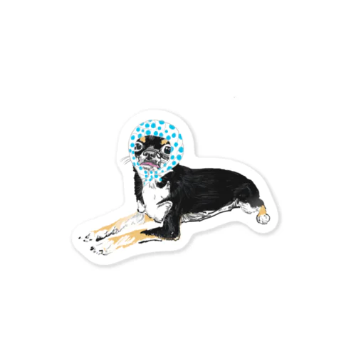 どじょうすくい犬 Sticker