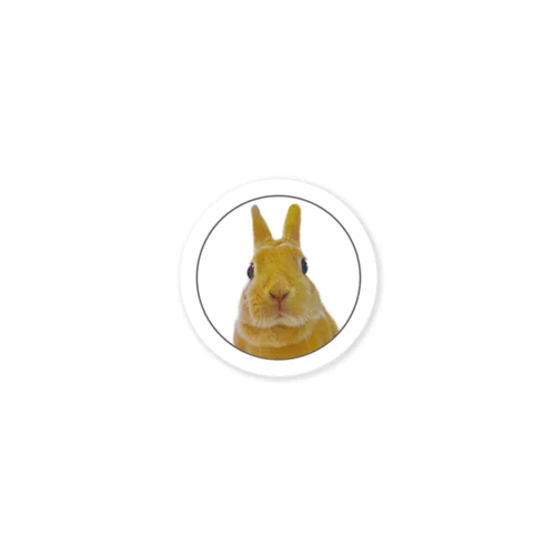 【うさぎのふゆちゃん】は頭の上にいてます Sticker