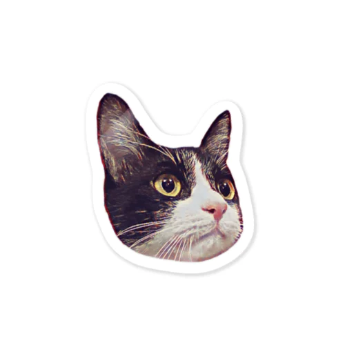 ハチワレ猫の静ちゃん Sticker