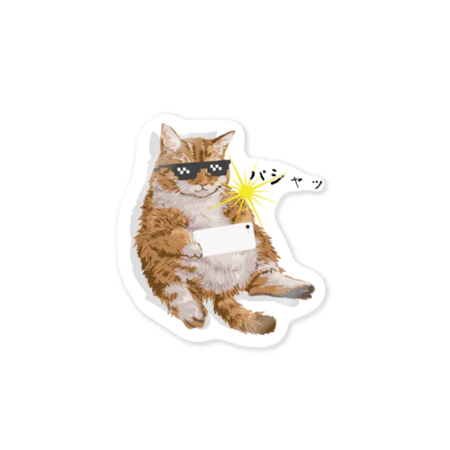 撮影する猫 Sticker