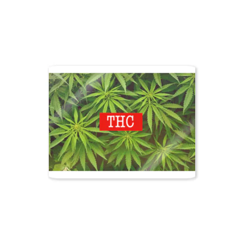 THC CBD 大麻　 ステッカー