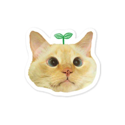 双子葉類なまりおちゃん🌱 Sticker