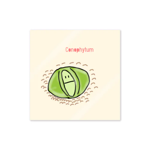 Conophytum Sticker