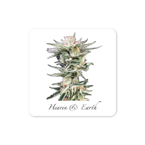 H&E ｵﾘｼﾞﾅﾙバッズ ver🌿 Sticker