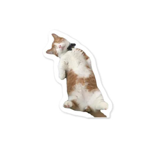 短足マンチカン  どり🐱 Sticker