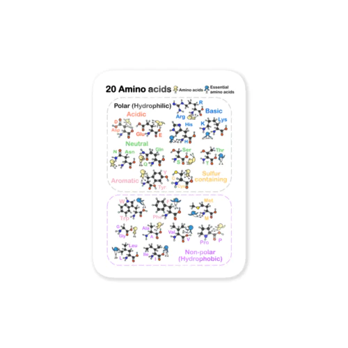 20アミノ酸ぴよ(白) ステッカー