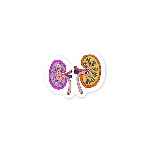 kidney【腎臓】 Sticker