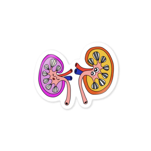 kidney【腎臓】 스티커