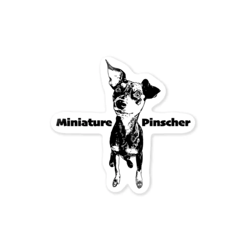 ミニピン　ミニチュアピンシャー　miniature pinscher　グッツ ステッカー