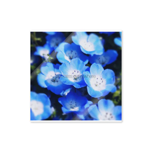 Nemophila Sticker