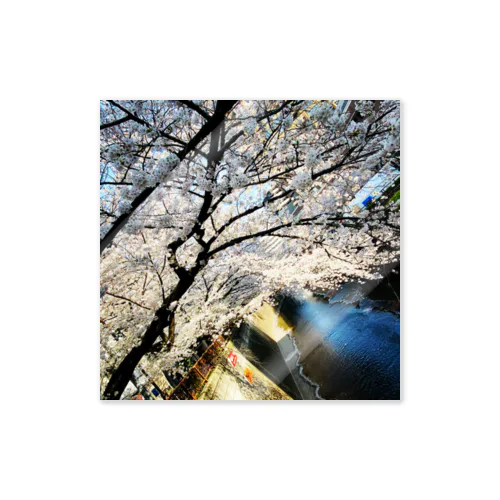 桜 Sticker