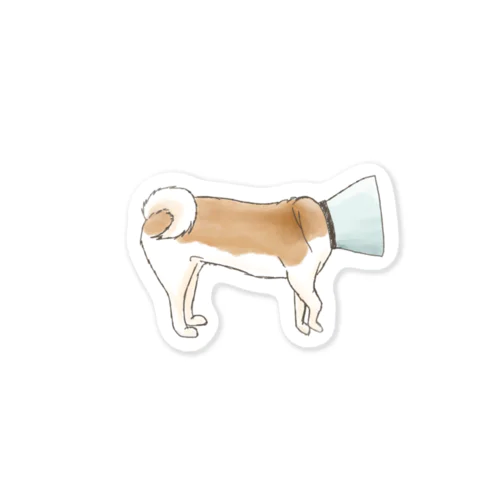 エリザベスカラーの犬 Sticker