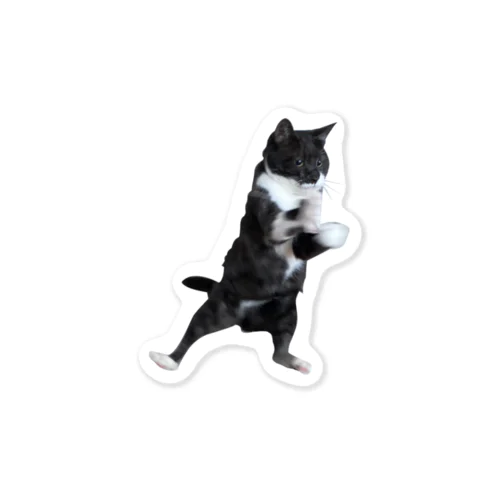 Flying Cat Sticker